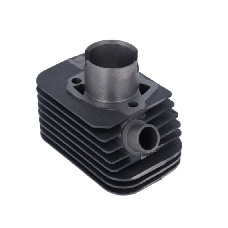 Zylinder Gilera Citta | Komplettes Sortiment Zylinder Gilera Citta | Komplettes Sortiment