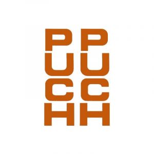Aufklebersatz Gabel Puch Maxi Orange 26X94MM