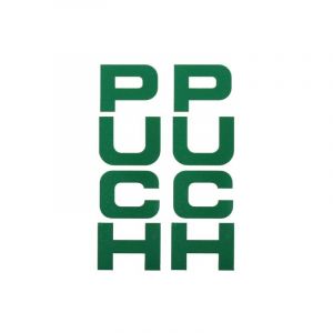 Aufklebersatz Gabel Puch Maxi Grün 26X94MM