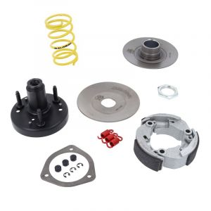 Hinter Kupplung Malossi Fly Clutch Citta/Ciao/SI