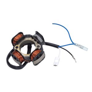 Zündung Elektronisch Polini Separat Puch Maxi