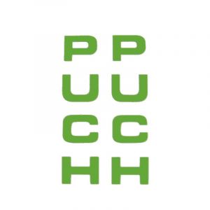 Aufklebersatz Gabel Puch Grün