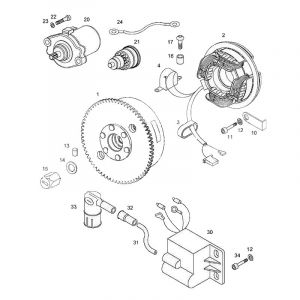 Zündung Mit Pick-Up / Startmotor Tomos Standard