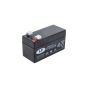 Batterie 12V 1.2Ah AGM Landport 97X44X54