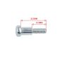 Brems / Kupplungshebel Bolzen Yamaha FS1/DT50MX