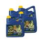 Putoline Off Road 4 10W-40 - 4 x 4 Liter