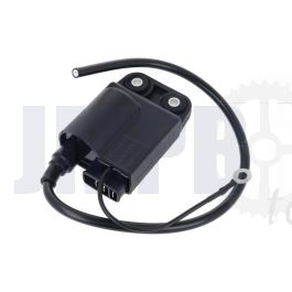 Zündspule/CDI ELEKTRONISCHE Citta-Ciao