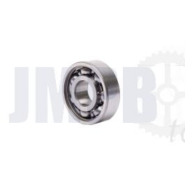 Lager 6000 SKF
