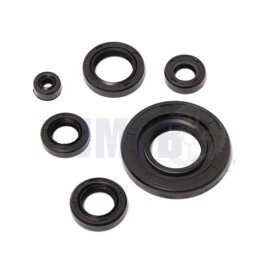 Simmeringsatz Honda MB/MT 80CC