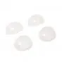 Blinkerglas Satz Blank Tomos Funtastic