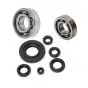 Kurbelwellenlager / Simmerringen Satz Honda MT/MB 50