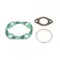 Zylinderdichtungssatz Sachs 80CC Athena
