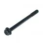 Bolzen Yamaha M8X100 Sechskant