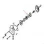 Simmerring 12X21X4 Wasserpumpenwelle Honda MBX/NSR