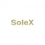 Aufkleber Solex Gold Recht 62X15MM
