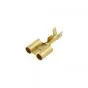 Rundes Doppelt Stecker Frau 3.5MM - Japanisch - Messing