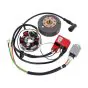 Zündung Kokusan EVO 2 Plus Red Line 12 Volt