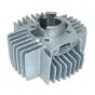 50CC Zylinder Puch Maxi Athena 6-Port