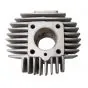 50CC Zylinder Puch Maxi Athena Membran Einlass