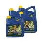 Putoline Off Road 4 10W-40 - 4 x 4 Liter
