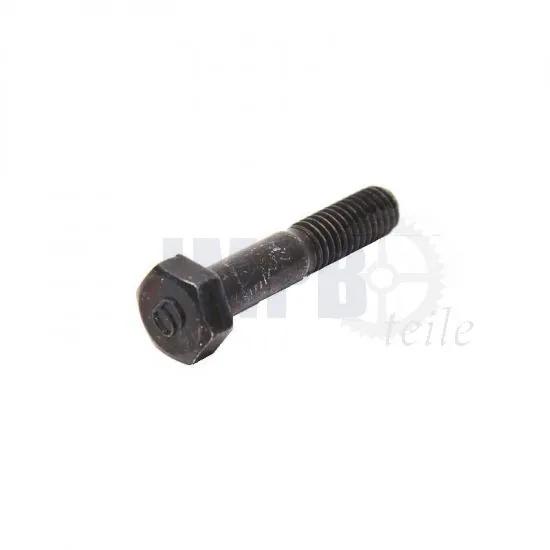 Bolzen Bremshebel Yamaha FS1/DT Originall