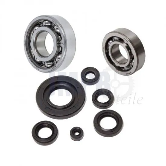 Kurbelwellenlager / Simmerringen Satz Honda MT/MB 50