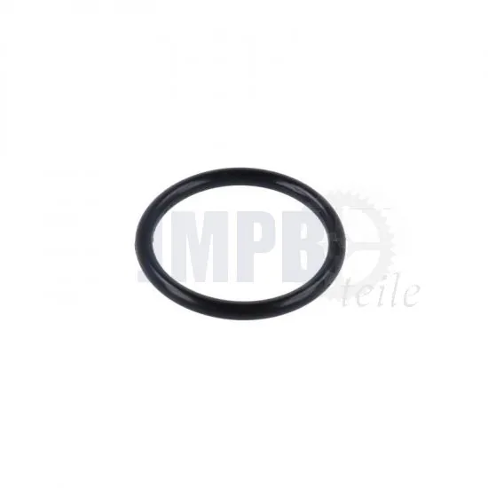 O-Ring Universal 19X2