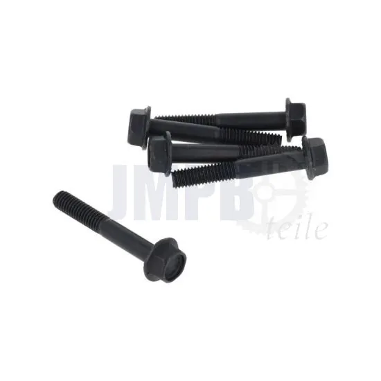 Flanschbolzen Schwarz M6X40 SW10 Sechskant