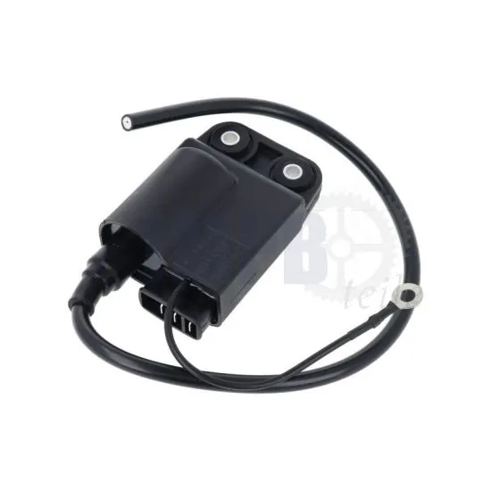Zündspule/CDI ELEKTRONISCHE Citta-Ciao