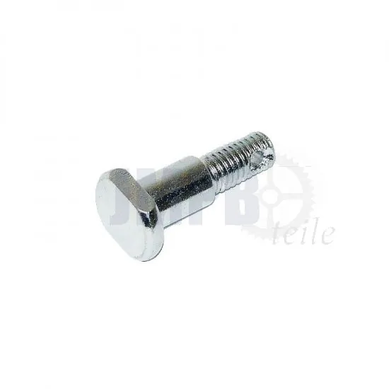 Bolzen Bremsplatte Yamah FS1/DT/RD