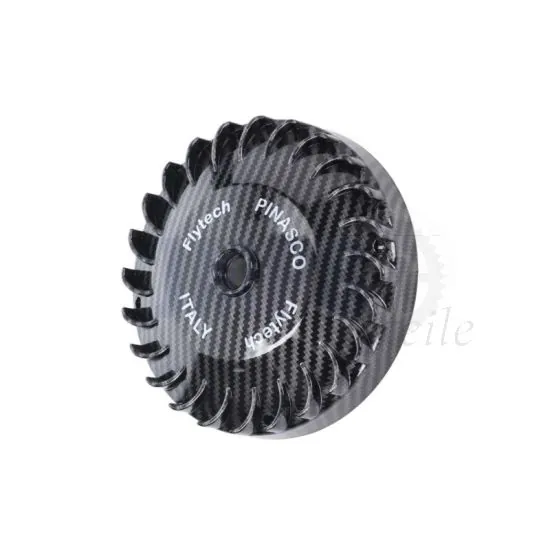 Schwungrad Citta/Ciao/Si Pinasco Zündung Elektronisch